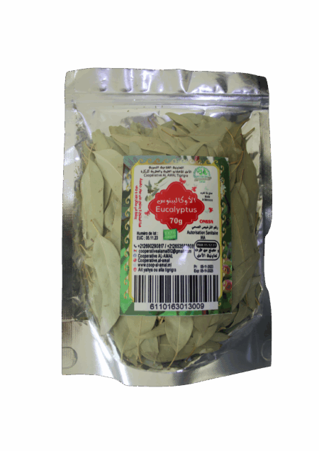 Plantes Aromatiques & Médicinales Eucalyptus